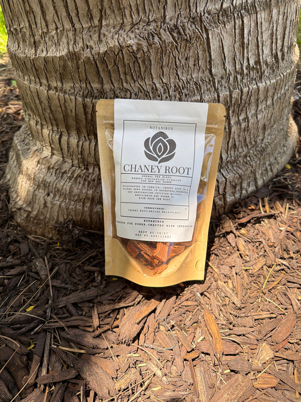 Jamaican Chaney Root